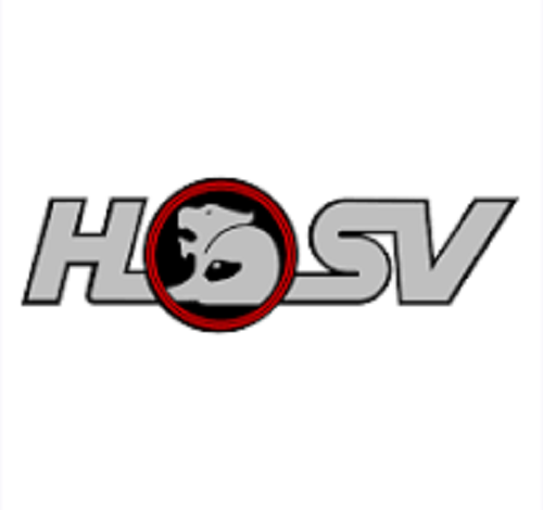 HSV VE E1 R8 Clubsport Badge Helmet Lion Helmet for Bonnet / Boot Sedan